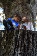 brother and sister sitting on a tree stump 