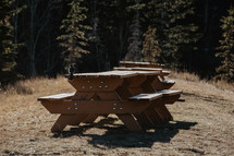 picnic tables and evergreen forest 