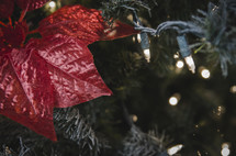 poinsettia and Christmas lights on a Christmas tree 