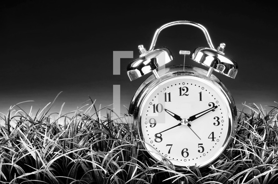 alarm clock in grass 