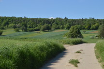 sidewalk and farmland 