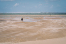 People are walking on a sandy and windy beach