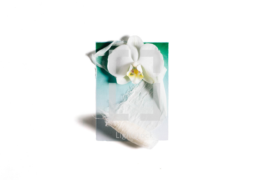 Easter artwork - orchid and gauze depicting the resurrection