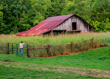 a farmer looking at an old barn 
