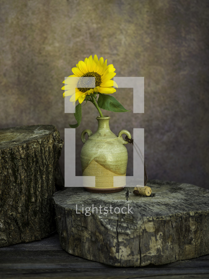 vase with a sunflower on tree stumps 