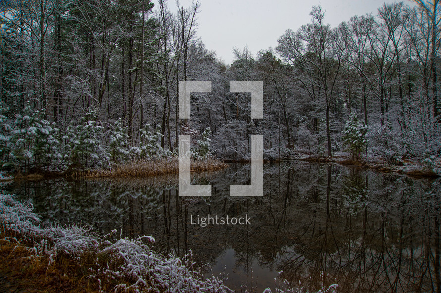 Pond in winter, Piedmont of North Carolina