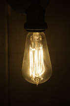 glowing filaments, in a lightbulb 