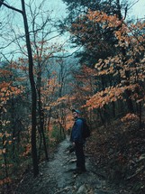 A man hiking along a trail through a forest.