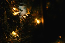 Christmas lights and garland