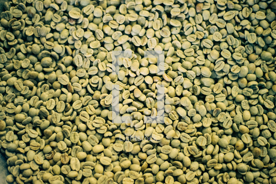 green coffee beans in a bowl 