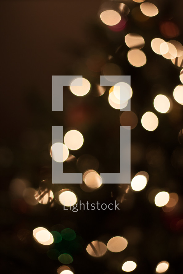 bokeh white Christmas lights 