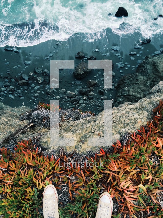 seaweed in a tide pool 