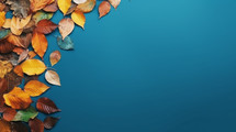 Fall leaves border on a blue background. 
