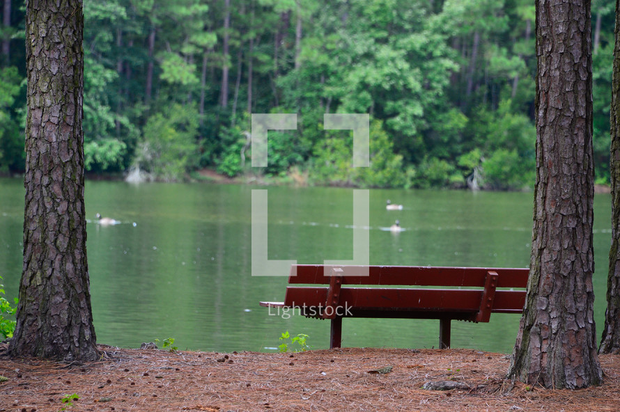 empty park bench overlooking a lake and woods