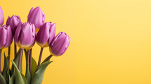 Purple tulips on a yellow background. 