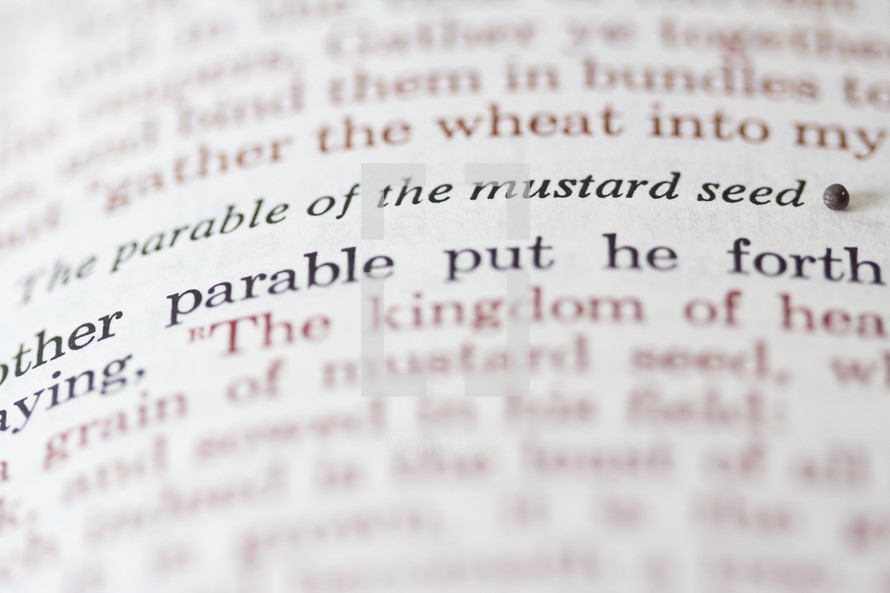 The parable of the mustard seed. 