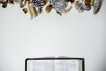 opened Bible and pine cone border 
