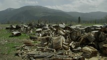 trees cut down in Montana 
