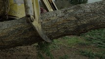 tractor moving a tree in a forest 