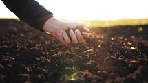 Hand of man on nature on field in sunlight squeezes the earth and it falls down blowing in the wind. Expert farmer checking soil health before growth a seed or plant seedling. Nature healthy food.