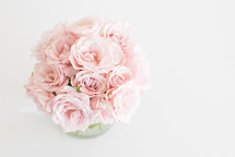 pink roses in a vase 