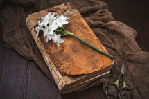 white daffodils on an old book 