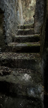 Stone steps covered in leaves.