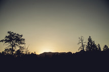 Silhouette of rocky cliff and trees at dusk,