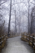 trail and fog 