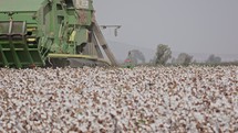 Cotton picker harvesting a cotton field creating large cotton bales