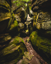 mossy rocks in a cave 