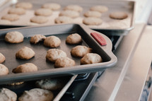 cookies on a cookie sheet 