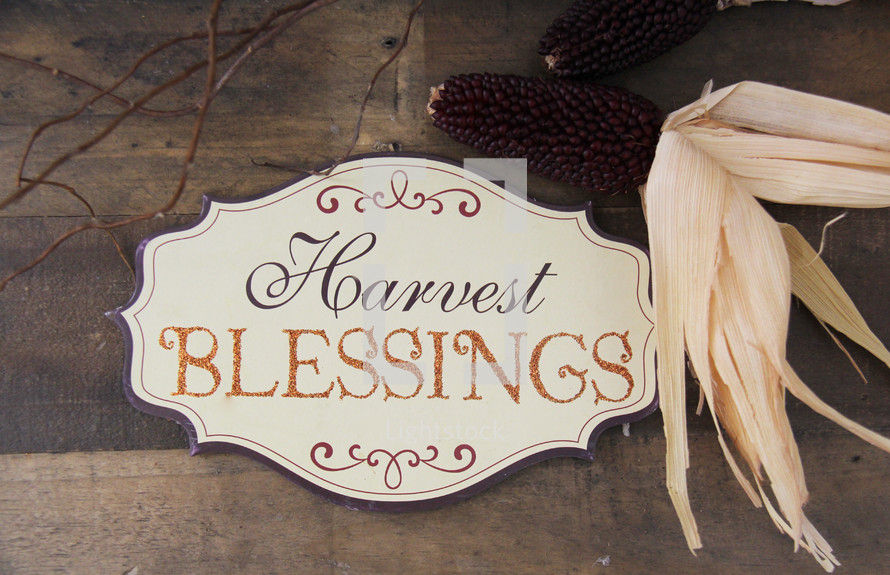 Harvest Blessings sign and fall corn 