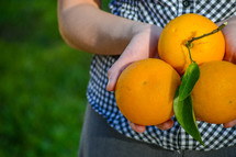 girl holding oranges 