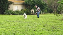 Super slow motion of a white dog running and catching a tennis ball