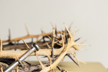 nail and crown of thorns 