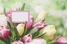 blank gift tag on a bouquet of tulips
