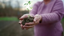 Woman holding a ground with a young green plant sprout in her hands