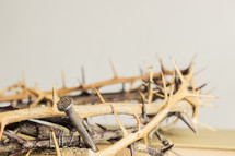 crown of thorns with a nail 