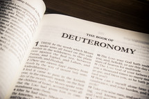 The book of Deuteronomy 