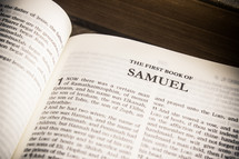 The book of Samuel 