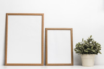 houseplant and two blank frames 