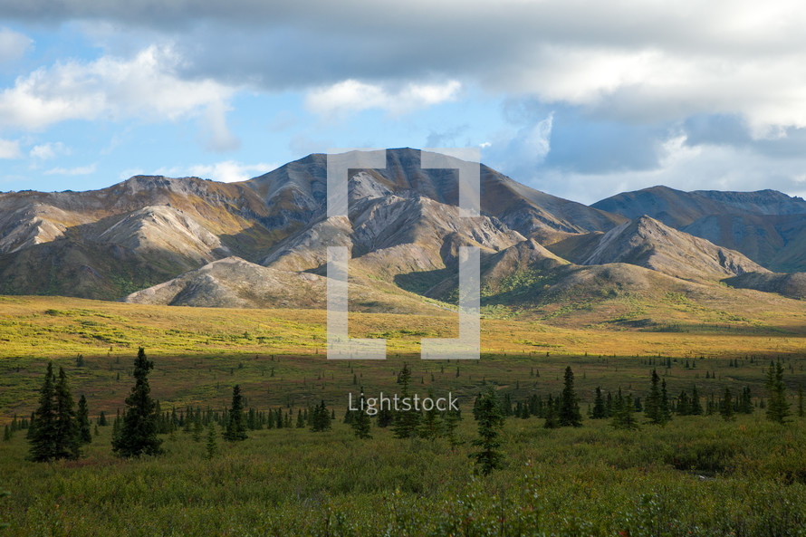 Alaskan mountain range landscape near trees with blue sky and clouds