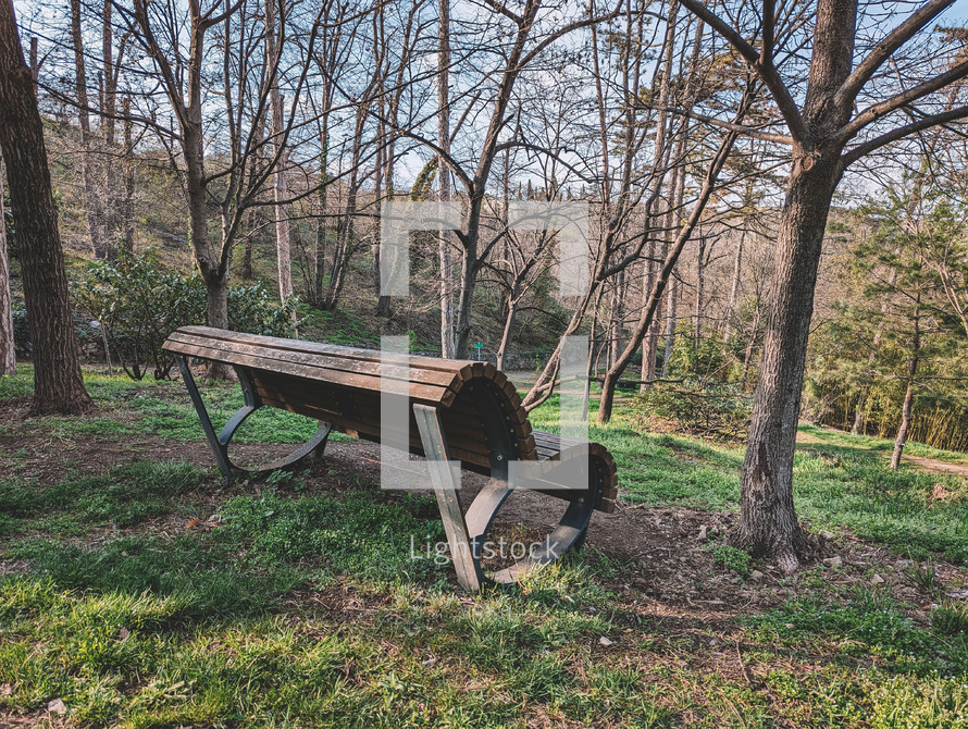 Bench in the forest in spring