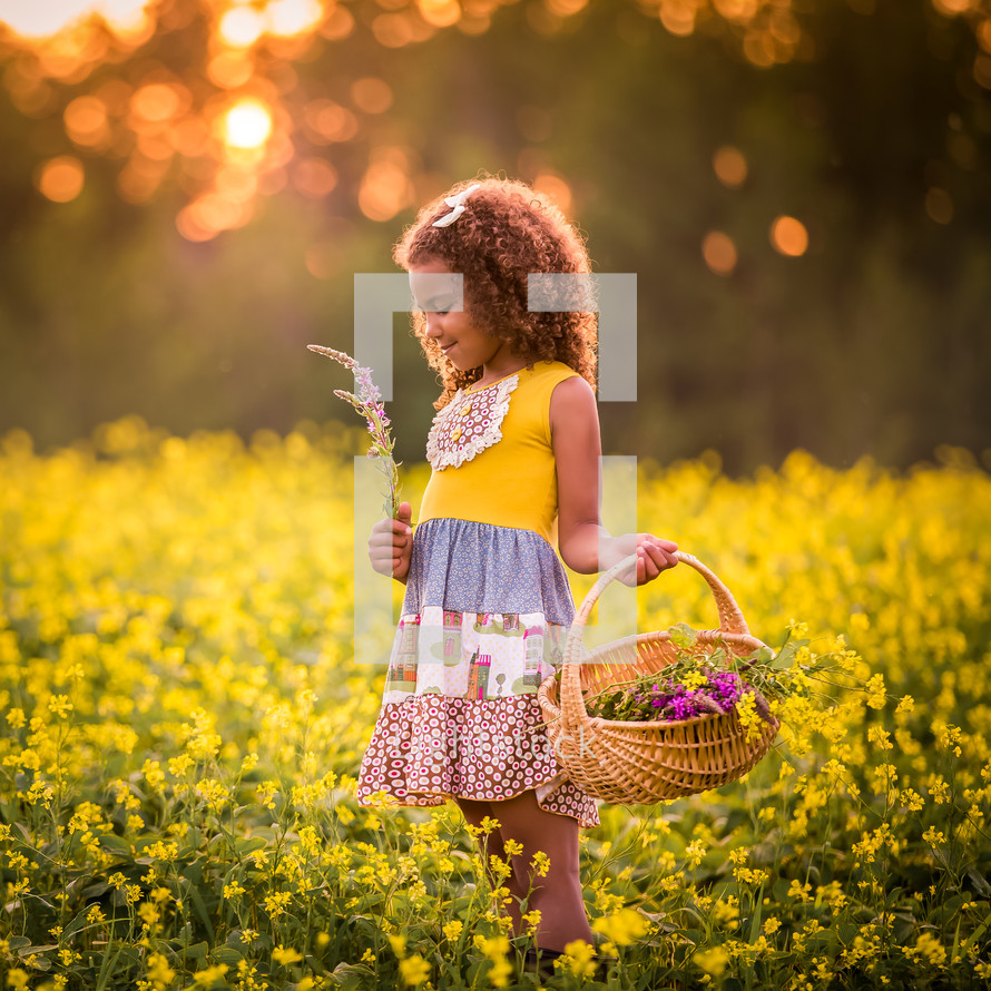 little girl picking flowers in a field 
