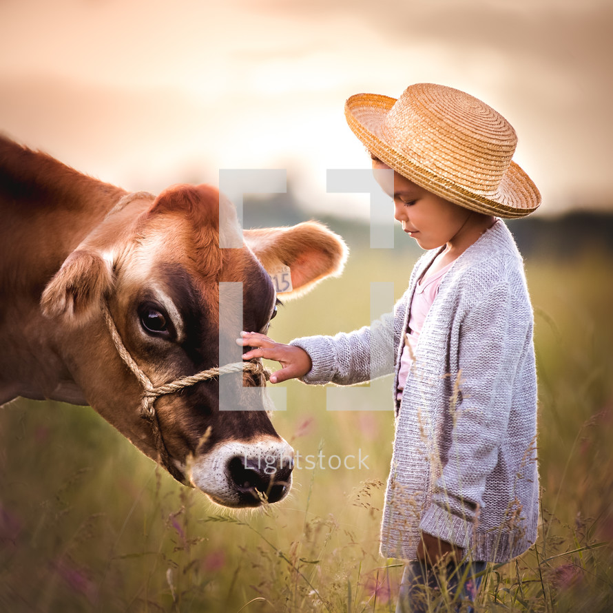 a child petting a cow 