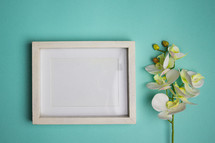 Blank white frame on turquoise background with an orchid