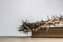 crown of thorns on a Bible 