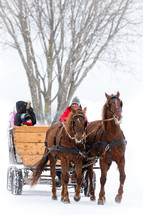 horse drawn carriage in the snow 