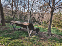Bench in the forest in spring